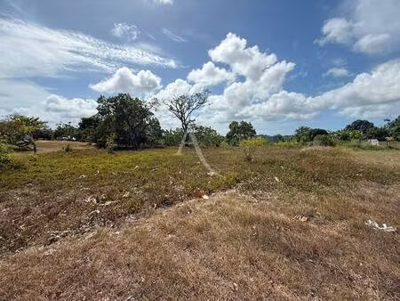 terrain à vendre