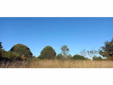 terrain constructible viabilisé à vendre