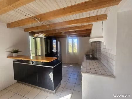 maison atypique de 101 m² au sol avec jardin  terrasse et vue sur le parc