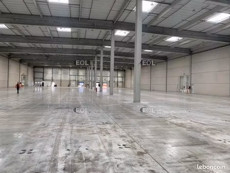 local logistique 5 531 m²