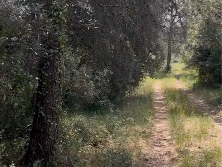terrain 5950m2 - fontvielle