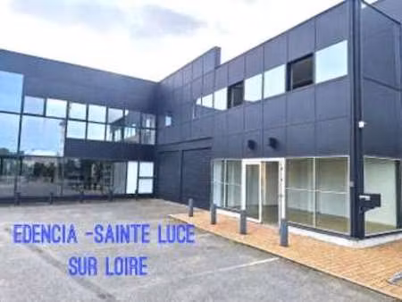 vente bureaux et commerces à sainte-luce-sur-loire (44980) : à vendre / 318m² sainte-luce-
