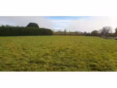 terrain constructible viabilisé à vendre