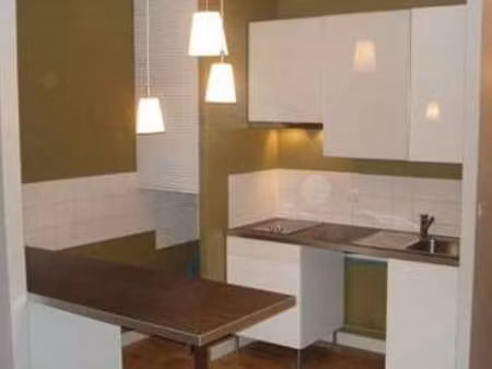 location appartement 2 pièces meublé à albi (81000) : à louer 2 pièces meublé / 51m² albi