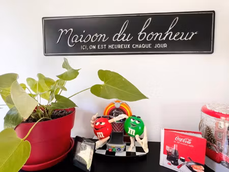 vente maison 8 pièces 255 m² bantanges (71500)