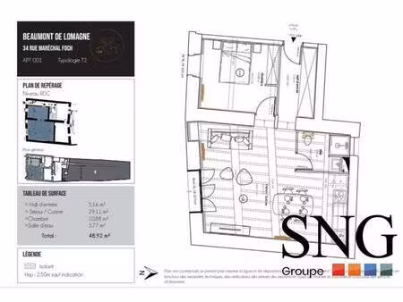 s.n.g immobilier