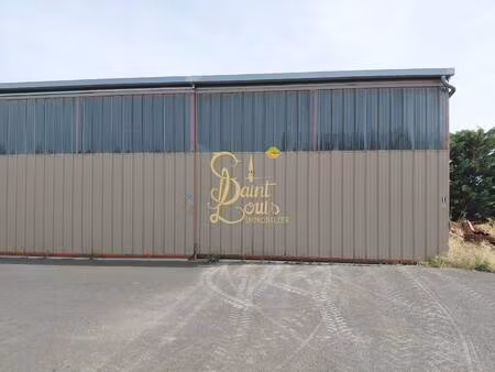 saint-louis immobilier