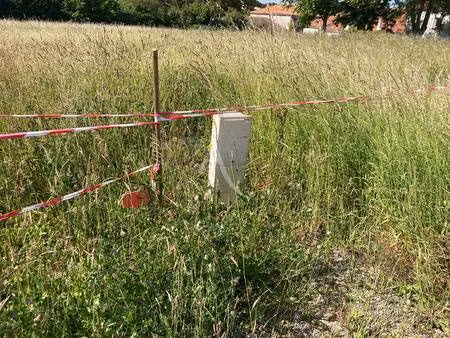 terrain à vendre
