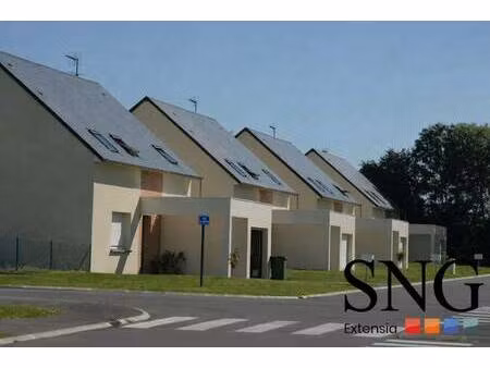 sng extensia