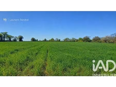 terrain constructible viabilisé à vendre