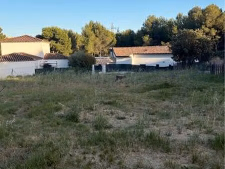terrain constructible