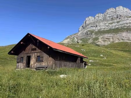 realp'immobilier