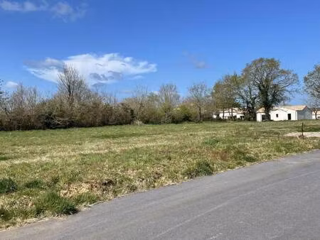 terrain constructible viabilisé à vendre