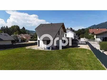 môle immobilier