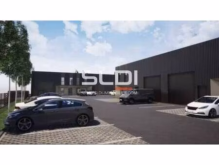sldi
