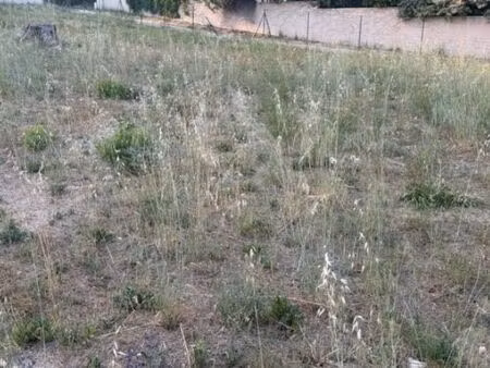 terrain constructible