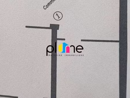 plume immobilier