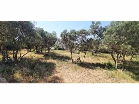 terrain constructible viabilisé à vendre