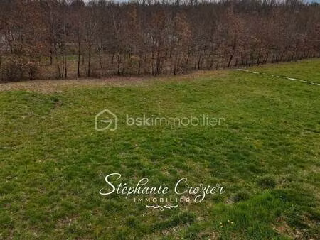terrain constructible viabilisé à vendre