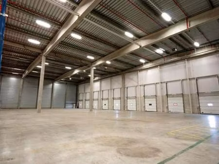 bien professionnel à louer à willebroek € 7.542 (kkcrm) | zimmo