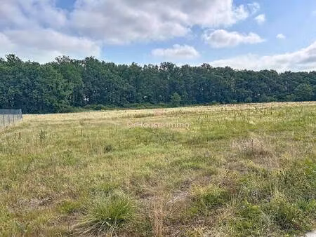 terrain constructible viabilisé à vendre
