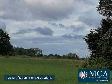 terrain constructible viabilisé à vendre
