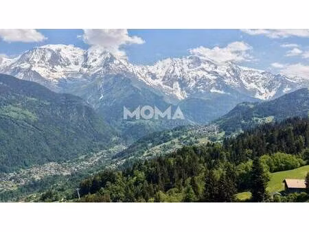 moma immobilier