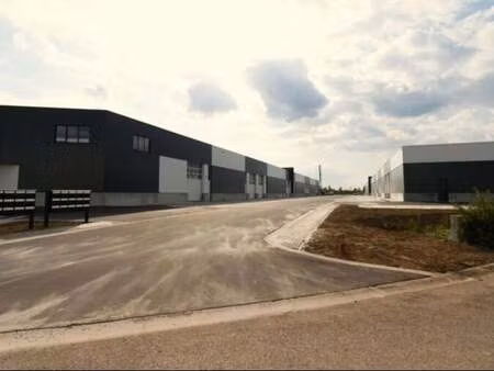 bien professionnel à louer à genk € 41.422 (lbaty) - dgi bvba | zimmo