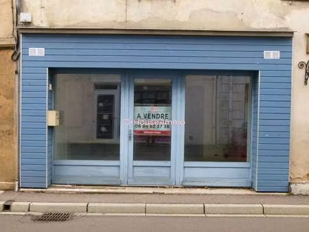 dominique dufournel dr house immo