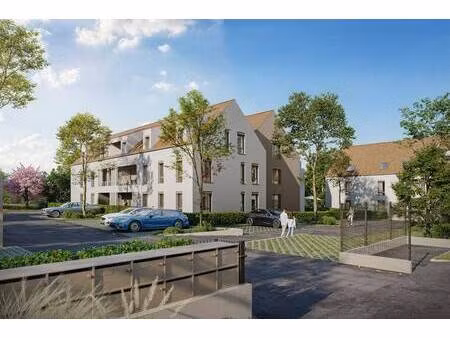 lingenheld immobilier
