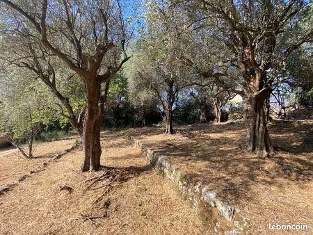 terrain 850 m² grasse