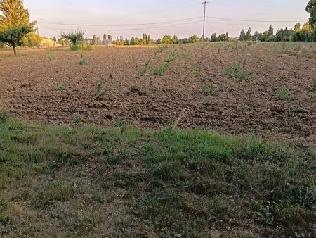 terrain rare à fort potentiel – 3 975 m² – bougé-chambalud