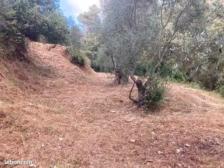 location oliveraie