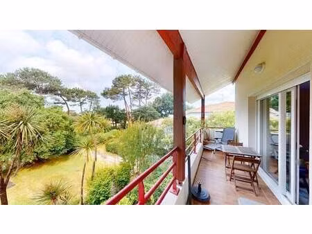 mone rosine immobilier