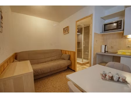 vente appartement 1 pièce 22 m² morillon (74440)