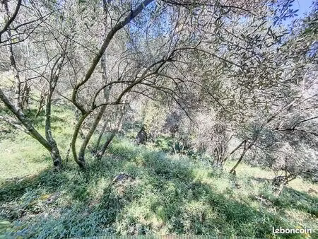 terrain agricole 11 360 m² contes