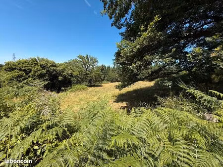 terrain avec cu opérationnel