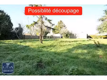 terrain