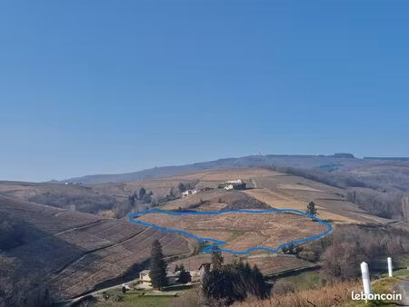 vente vignes aop