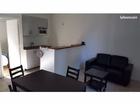 appartement 1 pièce 41 m²