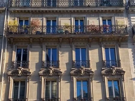 studette — paris 8e