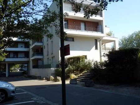 immobiliere du rhin