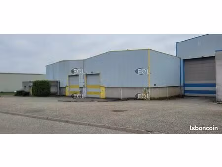 local d'activité 1 910 m²