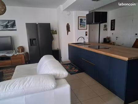appartement t3 avec cave  grande terrasse et jardin 160 m2
