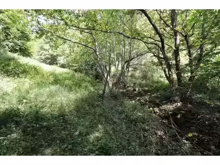 terrain à vendre