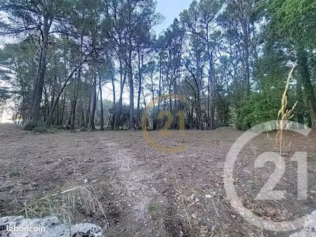 terrain 7 000 m² callas