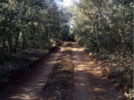 3 parcelles contiguës terrain forestier non constructible à regusse