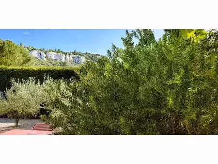 maison avec piscine et jardin les baux-de-provence (13)