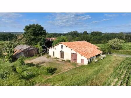 vincent saint martin bsk immobilier
