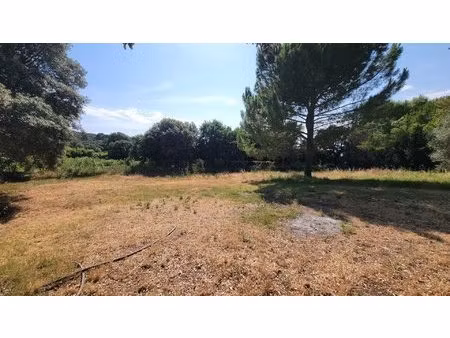 terrain diffus (hors lotissement)